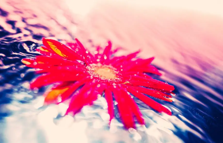 初期制作プロフィールサイトのサムネイル